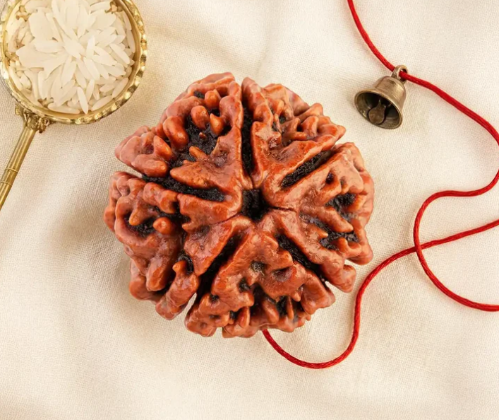 Unlock Spiritual Balance and Prosperity with a Curated Rudraksha Collection and Moolank Oil
