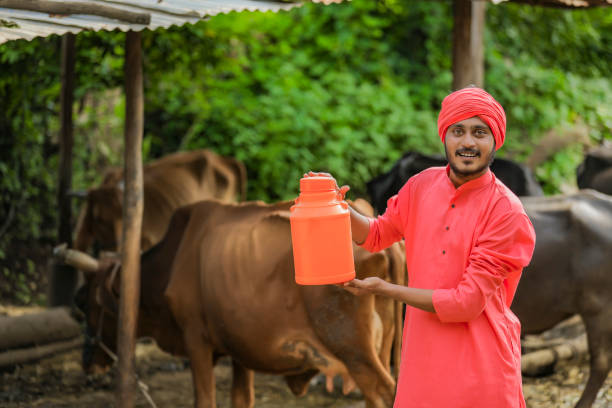 Cow Immunity Booster